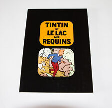Tintin souple lac d'occasion  Bagneux