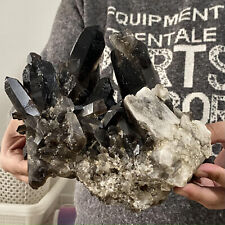 6,61 funta Naturalna rzadka Piękna czarna klastra kryształowa kwarcowa Próbka mineralna na sprzedaż  Wysyłka do Poland