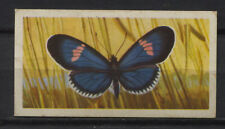 Heliconius Cyrbia Heliconidae Butterfly Vintage Brooke Collector Trading Card for sale  Shipping to South Africa