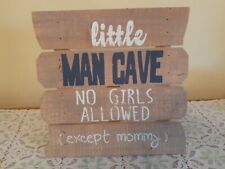 Little man cave for sale  Potterville