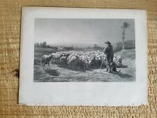 The shepherd bonheur.12.5 d'occasion  Expédié en Belgium