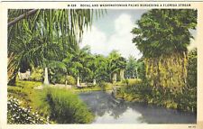Postal de lino vintage de Florida con palmas reales y de Washingtonian bordeando el arroyo, usado segunda mano  Embacar hacia Argentina