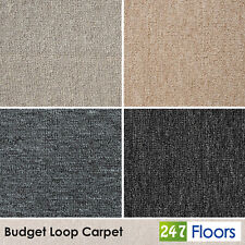 Loop carpet 5.49 for sale  ROTHERHAM