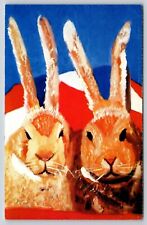 Postcard bunny rabbits for sale  Wynantskill
