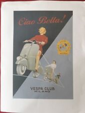 vespa poster gebraucht kaufen  Buchenbühl,-Ziegelstein