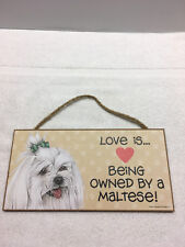 Love owned maltese for sale  Machesney Park