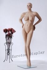Mannequin vitrine eurotondispl d'occasion  Expédié en France