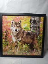 Framed wolf calendar for sale  Durham