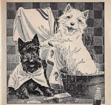 1951 ANÚNCIO DE UÍSQUE ESCOCÊS PRETO E BRANCO ~ WESTY SCOTTY DOGS TOMANDO BANHO comprar usado  Enviando para Brazil