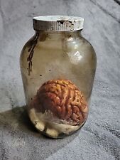 Brain jar film for sale  RICHMOND