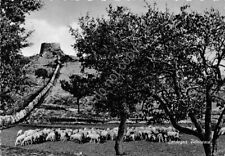 Cartolina bono nuraghe usato  Milano