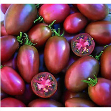 Tomate violet ukrainienne d'occasion  Expédié en France
