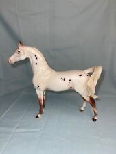Peter stone arabian for sale  Angier