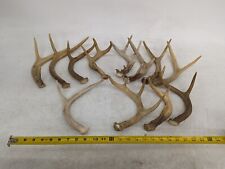 Lot assorted whitetail for sale  Champaign