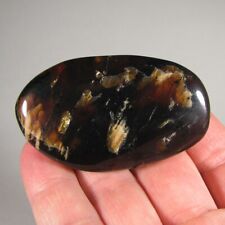 2.5" Natural FOSSIL AMBER Polished Palm Stone - Sumatra, Indonesia for sale  Shipping to Canada