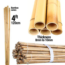 Bamboo garden canes for sale  GLASGOW