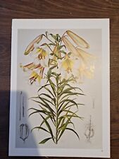 Vintage botanical prints for sale  Shipping to Ireland