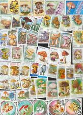 200 briefmarken pilze gebraucht kaufen  Bretzfeld