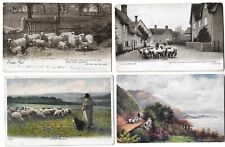 Postcards lot sheep for sale  EDINBURGH