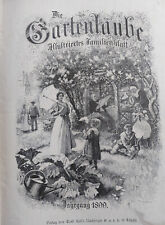 1899 gartenlaube illustriertes gebraucht kaufen  Mönchengladbach