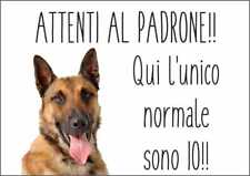 Cartello segnaletico malinois usato  Acate