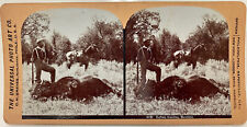 Buffalo hunting montana for sale  Dayton