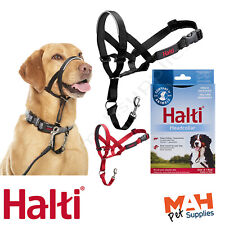Halti head collar for sale  CHESTERFIELD