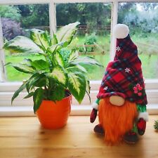 Large17 tartan gnome for sale  Shipping to Ireland