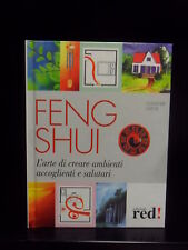 Feng shui arte usato  Busto Arsizio