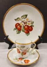 Hutschenreuther fruit teacup for sale  Cumming