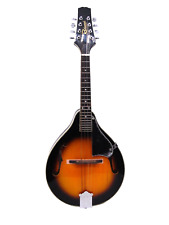 Redwood mandolin sunburst for sale  MIRFIELD
