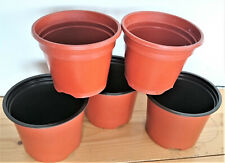 10cm plant pots for sale  NEWTOWNARDS