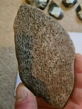 Fossil mammal bone for sale  NORWICH