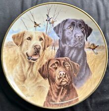 Three labradors decorative for sale  CHELMSFORD