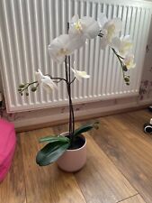 Ikea fejka orchid for sale  BOLTON