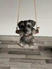 Miniature schnauzer puppy for sale  ROTHERHAM