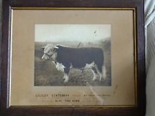 Hereford bull antique for sale  HEREFORD