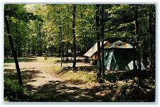 Cartão postal c1960 World's End State Park tenda acampamentos Forksville Pensilvânia PA comprar usado  Enviando para Brazil