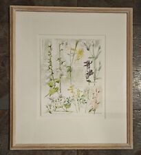 Original framed botanical for sale  ST. ALBANS