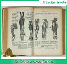 Libro anatomia fisiologia usato  Pinerolo