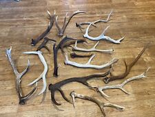 antler for sale  BRIDGE OF ORCHY