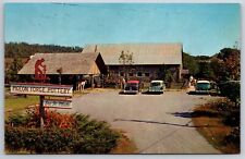 Pigeon forge tennessee for sale  Newton