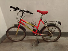 Bicicletta mountain bike usato  Torino