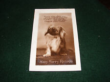 Vintage postcard pekinese for sale  Shipping to Ireland