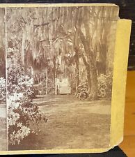 Stereoview Photo #6 Rev Drayton Ashley River Charleston S.C. Magnolia Barnard, used for sale  Shipping to South Africa