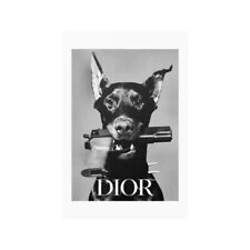 Doberman dior luxury for sale  Longmont