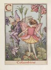 Flower fairies alphabet for sale  MOLD