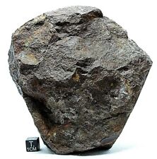 Nwa xxx meteorite for sale  NEWTOWNABBEY