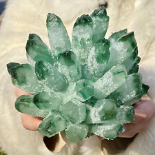 3,9 lb aglomerado de cristal de quartzo verde natural espécime flor de cristal decoração para casa comprar usado  Enviando para Brazil