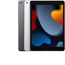 Apple iPad 9 (2021) 10.2" 64GB 256GB Cinza Prata WiFi ou Celular - Excelente, usado comprar usado  Enviando para Brazil